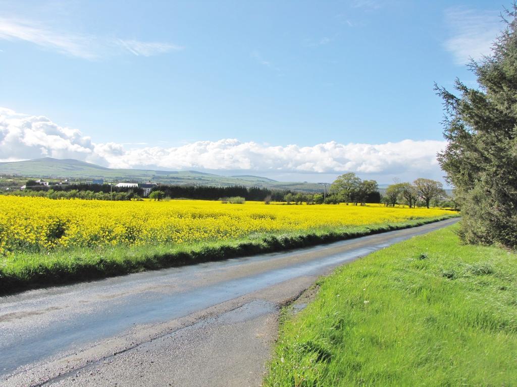Moneylands Farm B&B Arklow Quarto foto